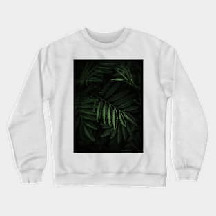 FERN Crewneck Sweatshirt